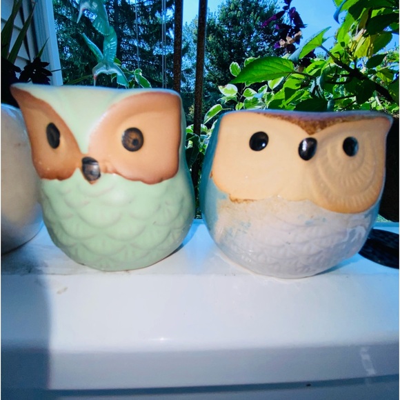 3 Brand New Mini Owl🦉Planters, Great for Mini Live or Faux Succulents or Whatev - Picture 3 of 16